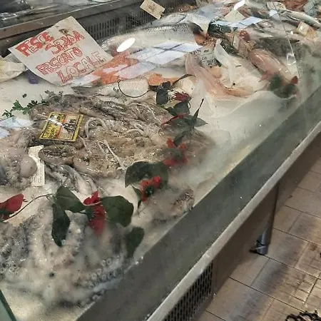 公寓 Casa Ninni 圣雷默