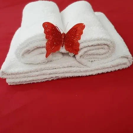 Apartment Casa Ninni *